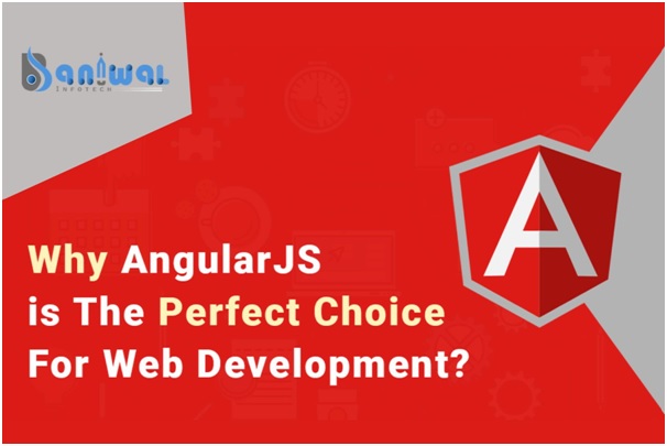 AngularJS Development Provider