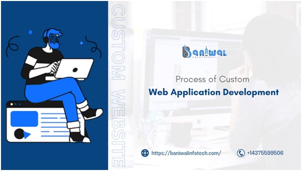 Custom Web Application Development