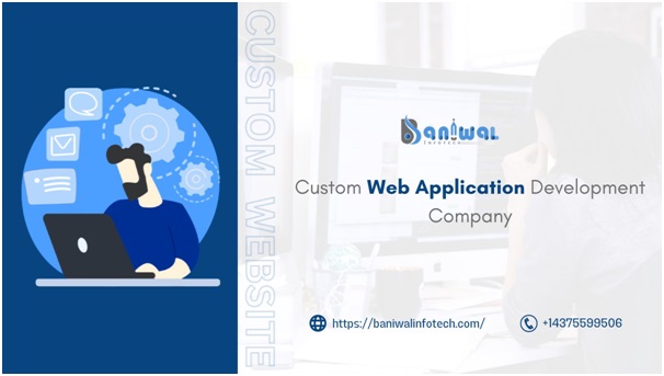 custom web application development Company